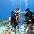 Divers of Poseidon Aruba – Intro course (discover)