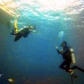 Divers of Poseidon Aruba – Dive Master