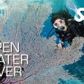 Rebel Diving Curaçao – SSI Open Water Diver Course