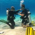 Central Dive Curacao – Open Water Diver